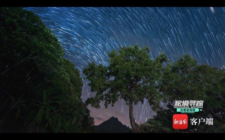 小狗顽皮偷吃蜂蜜，被蛰成“眯眯眼”，狗子在家有多调皮？游戏画面