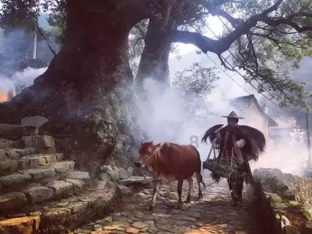 投篮得高分