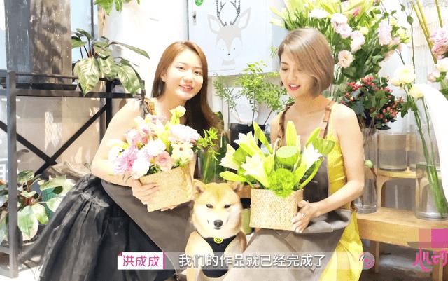 救援受困的火鸡