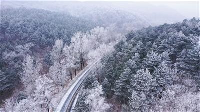 英王爱德华八世，不爱江山爱美人，最终结局如何